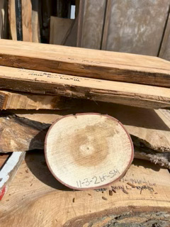 Spalted Maple